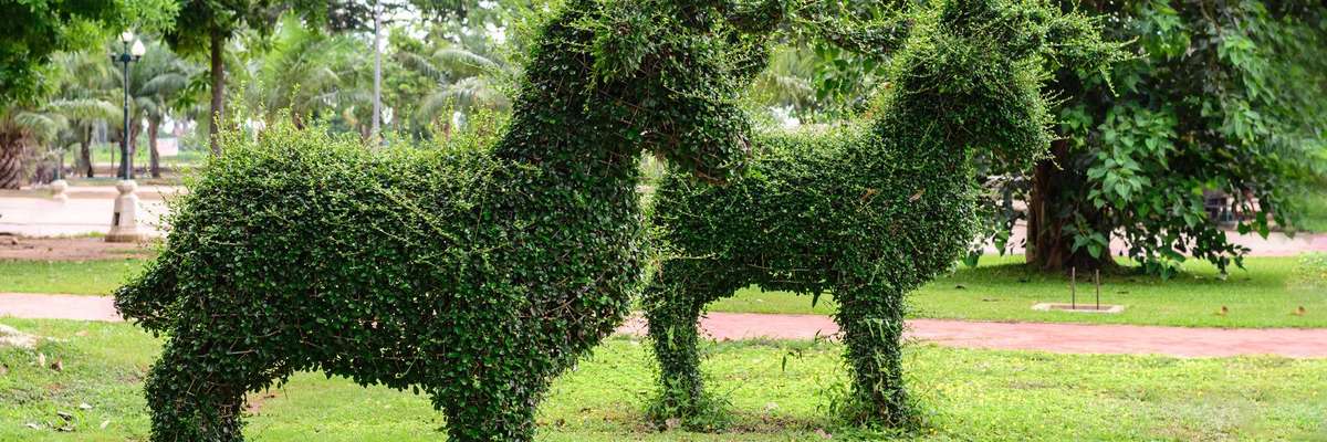Tree pruning as deers in public park.